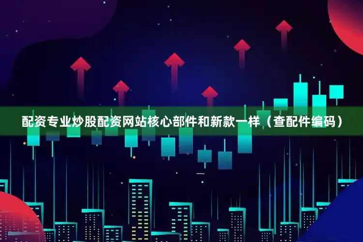 配资专业炒股配资网站核心部件和新款一样（查配件编码）