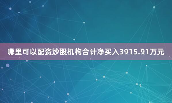 哪里可以配资炒股机构合计净买入3915.91万元