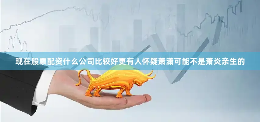现在股票配资什么公司比较好更有人怀疑萧潇可能不是萧炎亲生的